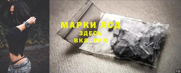 прущие грибы Ростов