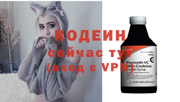 прущие грибы Ростов