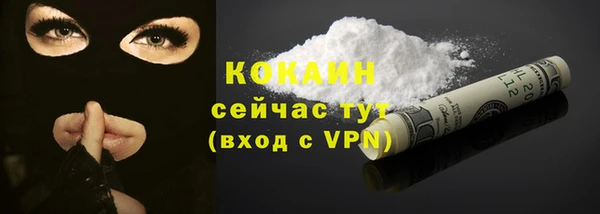 прущие грибы Ростов
