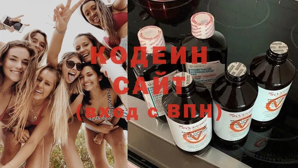 прущие грибы Ростов