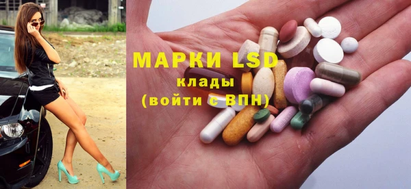 прущие грибы Ростов